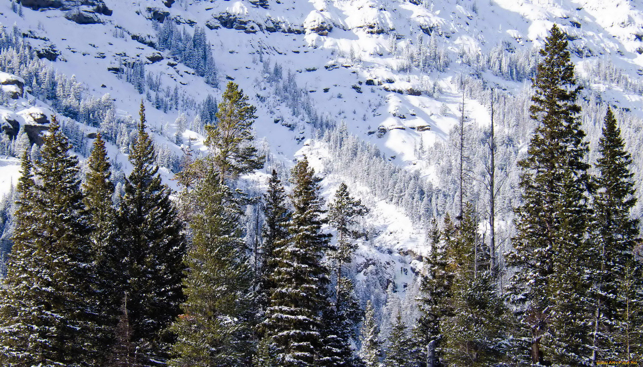 , , wyoming, , 